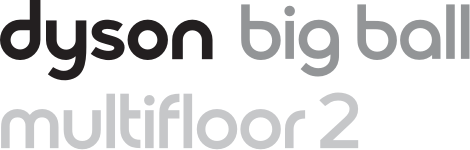 Dyson Big Ball Multi Floor 2 – Motiv